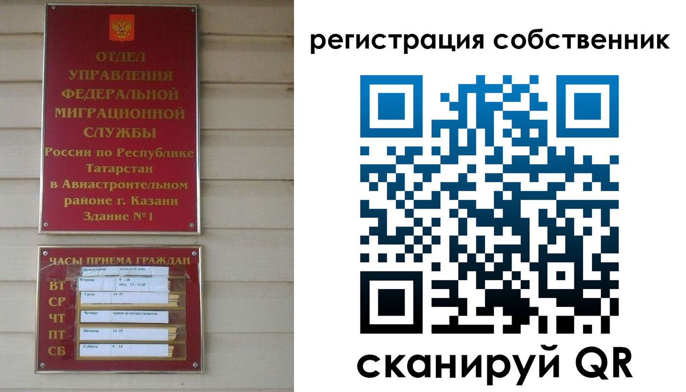 прописка законно в Борзе